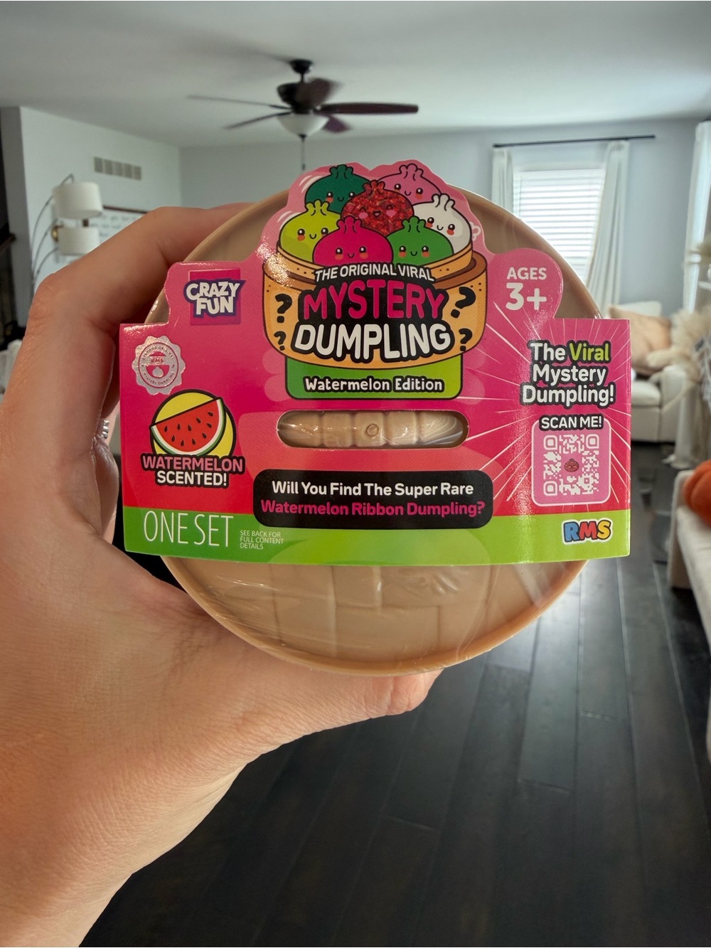 Rare RMS ✨ Mystery Dumpling Watermelon Edition - 🍉